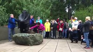 43K views · 991 reactions | WATCH: Ivan will now and forever be part of Tacoma. See his statue unveiled at Point Defiance Zoo & Aquarium. | The News Tribune | Facebook