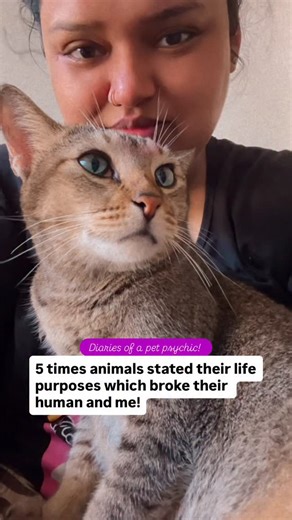 72 reactions | As a pet psychic, an animal communicator there are...