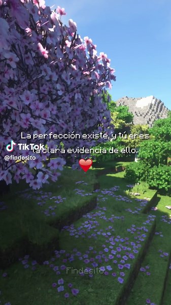 Frases tristes de amor en Minecraft