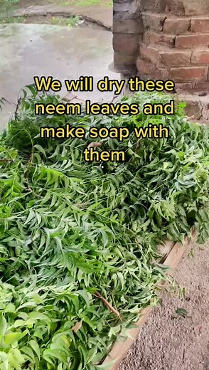 Natural Neem Soap for Acne and Eczema Relief