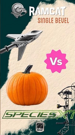 Ramcat Single Bevel vs Pumpkin Test – Shockingly Powerful Results! #bowhunting