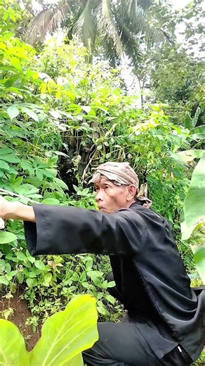 Guyonan Bah ulis #tipeketawa #shortvideo #ngakak #subscribe