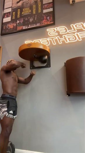 #speedball #speed #boxing