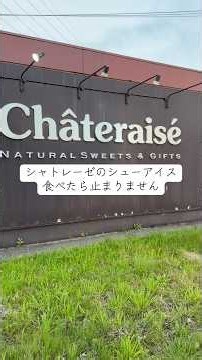 何度も食べちゃうシャトレーゼのアイス謎の中毒性#シャトレーゼ#シュークリーム#アイス#買い物#グルメ