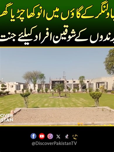 Explore the Beauty of Bahawalnagar Bird Sanctuary