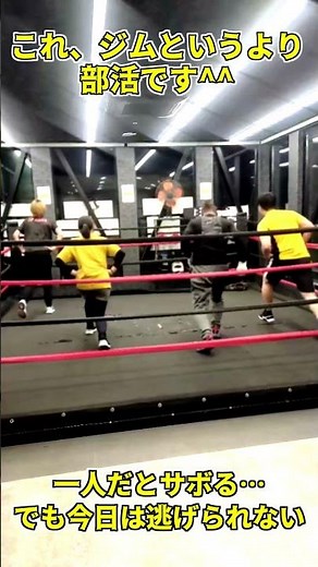 サーキットトレーニングで楽しく脂肪燃焼