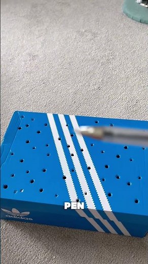 How to Rescue an Injured Animal - Shoebox Method 🐾 #wildliferescue #animalrescue