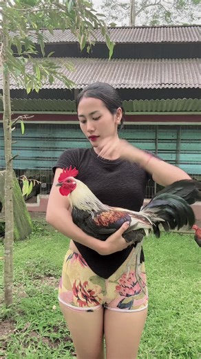 DitaJ. (@ditaaajerlin)’s videos with Bojo loro_Kiky RMX - MEDINE YULIA OFFICIAL