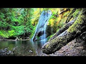 Waterfall & Birds [4K UHD] Nature Sounds for Sleep, Focus, & Study
