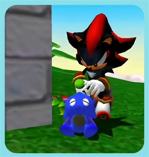 Shadow Chao Protection Video | Sonic the Hedgehog | Sonadow | Chaotic Adventures