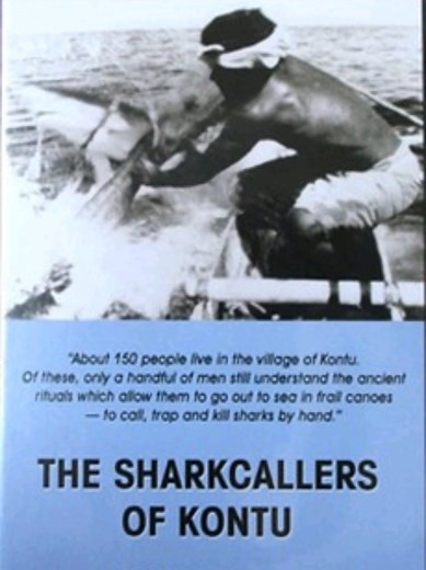 Sharkcallers of Kontu won many awards and screened at a number of film festivals around the world. #papuatiktok #pnghistory #oceania #newguinea #pngtuber #pngnfyp #pngviraltiktok🇵🇬❤ #pngtiktok🇵🇬 #niugini_quotes #melanasian🇵🇬🔥 #papuanewguinea #oceanianheritage #newireland #newirelandprovince #shark