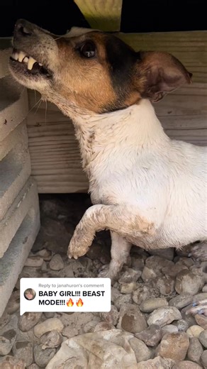 Crazy Facts That Sound Fake But Are 100% TRUE! 🤯 📚 #RandomFacts 🏆 #RealityCheck #UltimateFacts ❗ #StayInformed ✅ #InterestingFacts 😲 #FunFacts #YouNeedToKnowThis #Factual #UnbelievableButTrue #InsaneButTrue #MindBlown #LifeHacks #FactCheck #ImpossibleButTrue 😵‍💫, #EpicFinds #ViralFacts #OMGFact #TikTokFacts #UnrealFacts #JustWow #KnowledgeDrop #UnbelievableFacts #HiddenGems #ThisChangesEverything 😱 🎉 #DidYouKnow 🎯 🌍 #InsaneFacts #GameChanger 🤯 #StrangeButTrue 🧐 #UltimateKnowledge #Sm