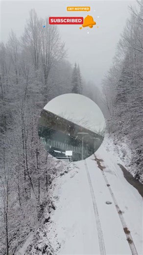 Beautiful Snowfall Scenes | Relaxing Winter Nature | Calm Music #snowfall #shorts