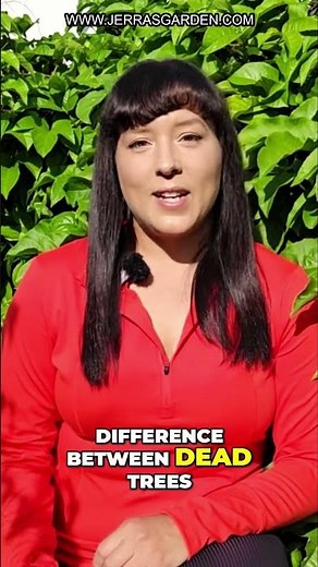 Freeze-Proof Your Garden: Deep Watering Secrets for Thriving Plants!