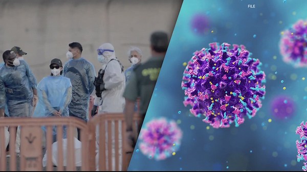 WSU scientists find new model for identifying where viruses come from