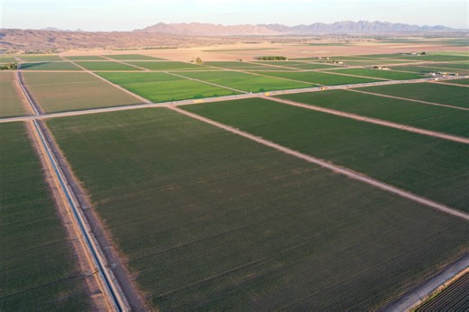 The Lost Agrarian World