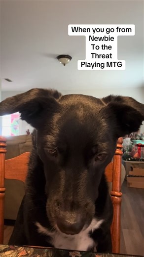 Mastering Magic: The Gathering – A New Player's Journey