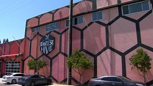 Bitwise under FBI criminal investigation, Action News sources confirm