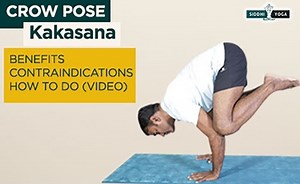 Kakasana or Crow Pose: Benefits & How to Do