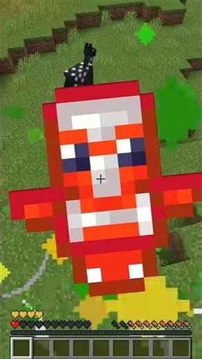 Mincraft, But There are Costom Totam...!!!