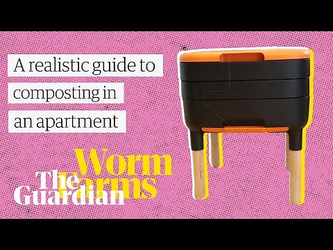 Guide to composting in an apartment: Worm farming
