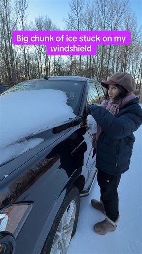Rubbing alcohol may be useful in many ways #winter #cold #weather #icy #car