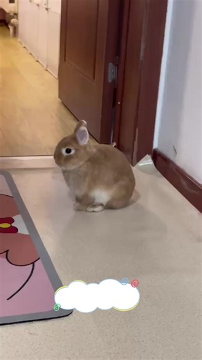 YouthfulGrowHouse on TikTok