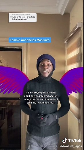 Understanding the Causes of Malaria