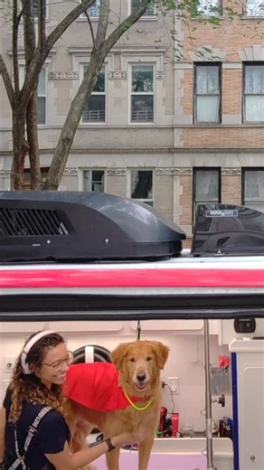 Fur Hero makes grooming stress-free and convenient with our mobile spa van that comes right to your door. Your pup enjoys: 1️⃣ Care in a fully equipped van 2️⃣ Easy online booking 3️⃣ Stress-free, one-on-one grooming 4️⃣ Spa-quality service at your doorstep Give your dog the VIP grooming treatment without leaving home. Book today and let Fur Hero come to the rescue! | Fur Heroes