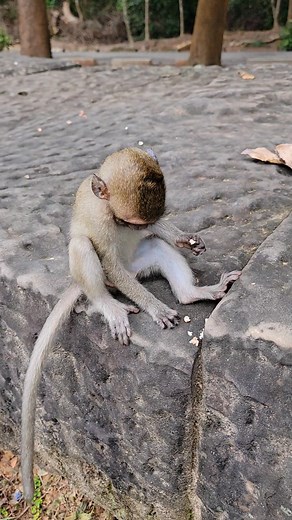 Why Gabby ❤️ ❤️ | Hand Products