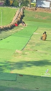 C-cũng dzui | Blog Radio