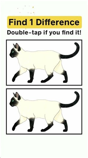 Take a concentration test #spotthedifferencegam #findthedifference