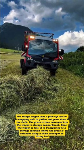 Forage Wagon in Action: Efficient Grass Collection!