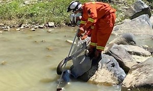 China: Farmer finds huge python swallowing goat