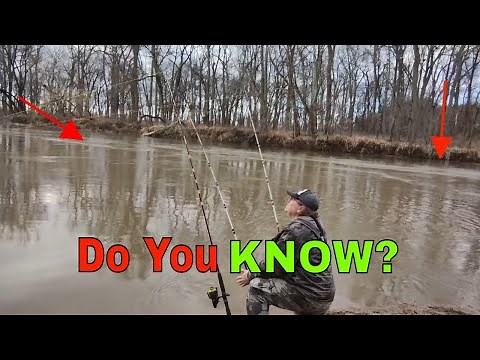 The Perfect Time to CATCH a CATFISH