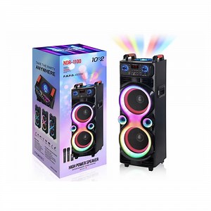 [Hot Item] Ndr-1100 Dual 10-Inch Party Speaker with Built-in Batterie