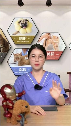 Decode Your Dog's Behavior: 5 Misunderstood Acts Unveiled