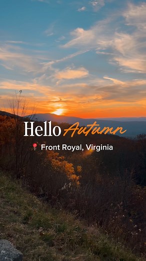 1.6K views · 1.4K reactions | POV: You’re on Skyline Drive, the leaves are glowing, you grab a box of apple butter donuts, sip wine at a vineyard, and end your day downtown under golden trees. ✨That’s Front Royal in the fall.  | Discover Front Royal | Facebook