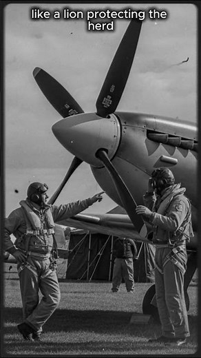 The Engine That Won the War #worldwar2 #ww2rebuilder #germantank #history #worldwarii #aviation #ww2