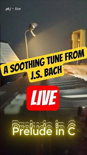 Soothing Classic From Bach | Listen NOW [HD Live]