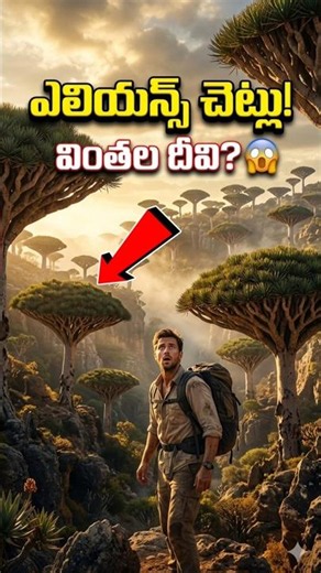 Socotra Island : Nature’s Mystery Place 😨🌴 #shorts #fact #manafacts #shortfeed
