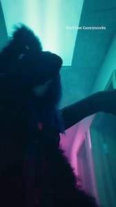 One Direction support act Camryn Magness has tragically died aged 26 | The Sun