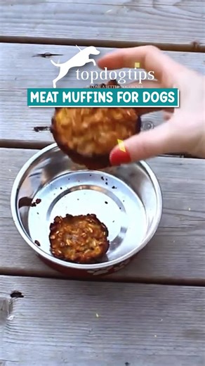 🧁🥩 Muffins… but made for dogs! 🐾💛 These homemade meat muffins are packed with protein, easy to make, and perfect as a special treat or meal topper. ✨ 👉 Tap here for the full recipe: https://topdogtips.com/meat-muffins-recipe/ #MeatMuffinsForDogs #HomemadeDogFood #HealthyDogTreats #DogMomLife #TopDogTips | Top Dog Tips