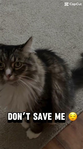 #don’t save me#don’t save me. I don’t wanna be save#you kidnapped by your third photo