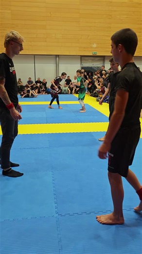 Exploring Grappling Techniques in MMA and BJJ