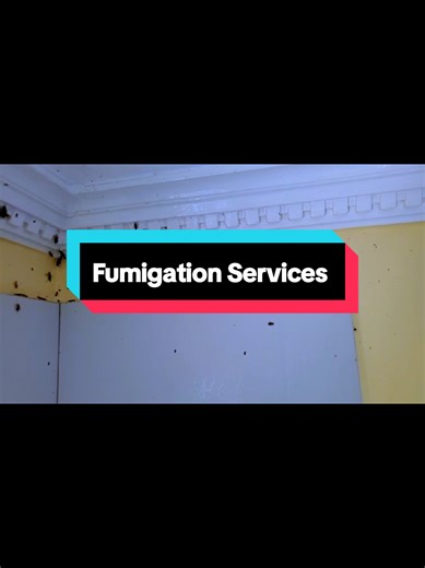 Expert Post Construction Cleaning Services