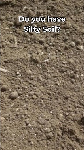 Do you have Silty Soil?