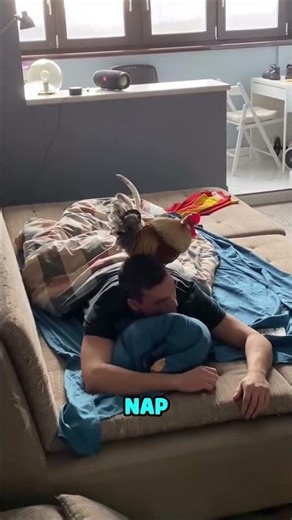 Don't Trust A Woman Holding A Large Rooster