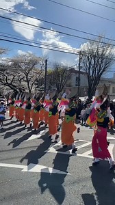 75K views · 5.6K reactions | #japanfestival #sakurafestival Sakura Festival 2025 Sagamihara Kanagawa  #festivalseason #festivals #sakurafestival #japanfestival #sakura #KANAGAWA #dance #beautyfull #Amazing #visitjapan #japan #japanphoto #japanlife #Japantravel #beautifuljapan #explorejapan #japanvacation #japanphotography #streetphotography #japantrip #日本 #osaka #routineofjapan #rojofjapan | Routine of Japan | Facebook