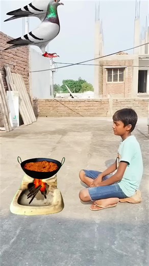 VFX Challenge: Fun and Creative Shorts Showcase